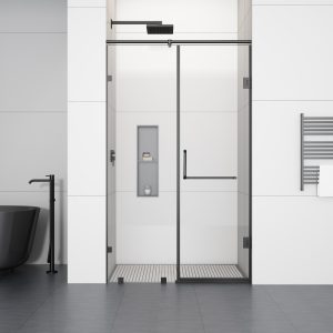 D61BL Frameless Shower Door With Swing Door