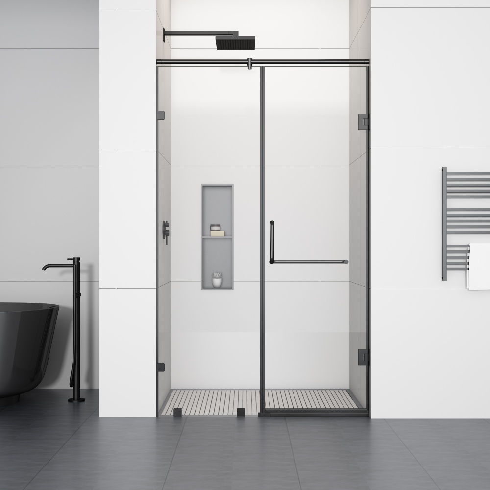 D61BL  Frameless Shower Door With Swing Door