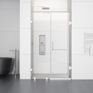 D61CH  Frameless Shower Door With Swing Door