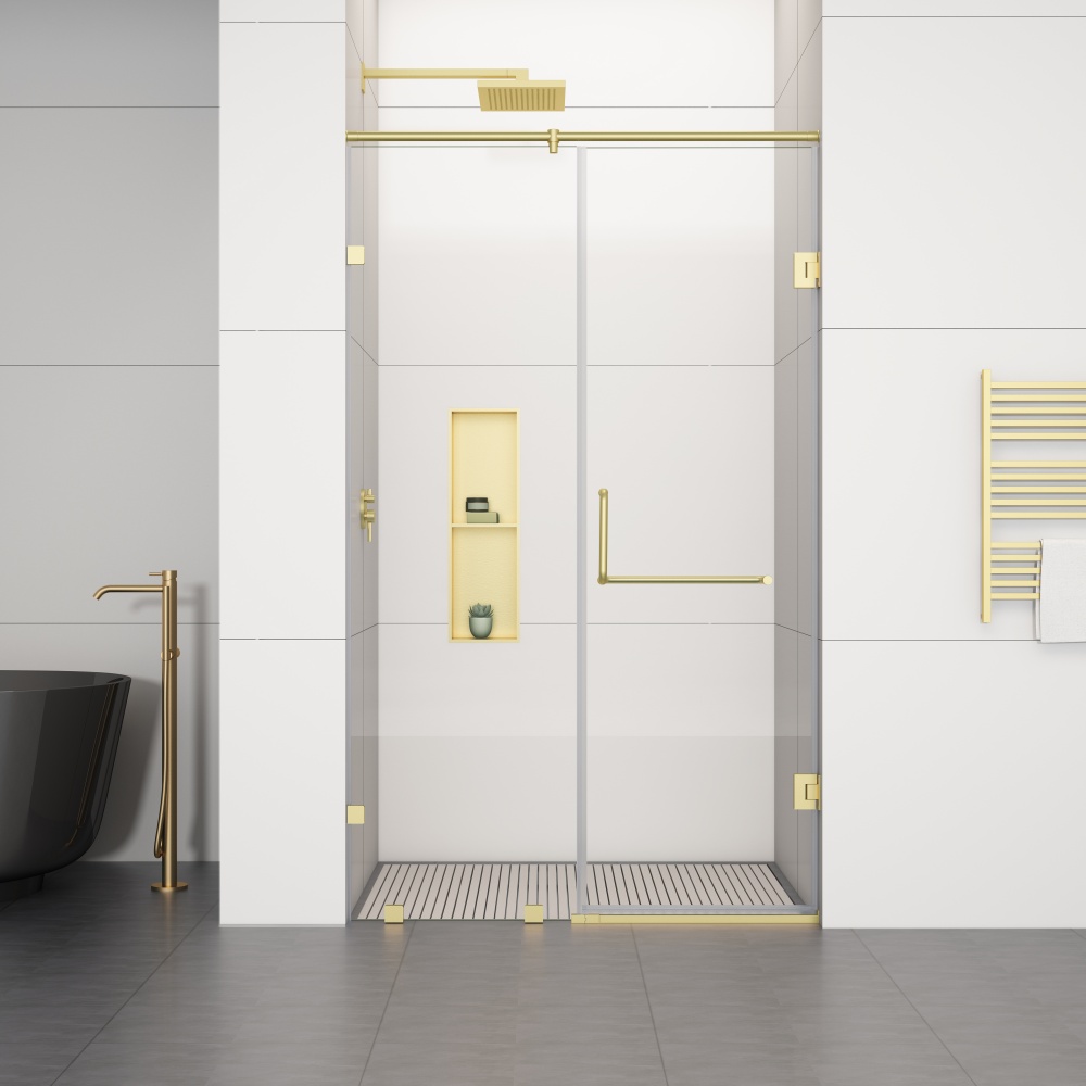 D61GD Frameless Shower Door With Swing Door